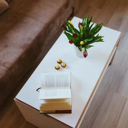 - Meisten In מלון