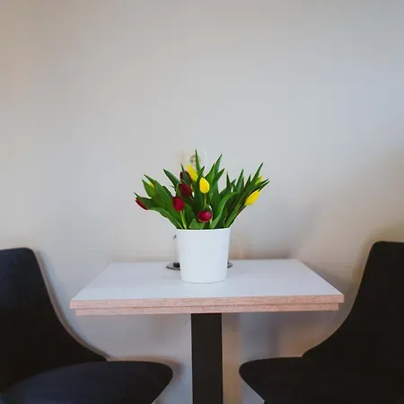 - Meisten In שטראלסונד